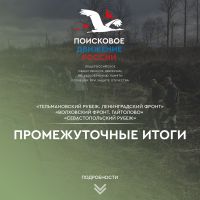 Промежуточные итоги поисковых экспедиций в Севастополе и Ленинградской области